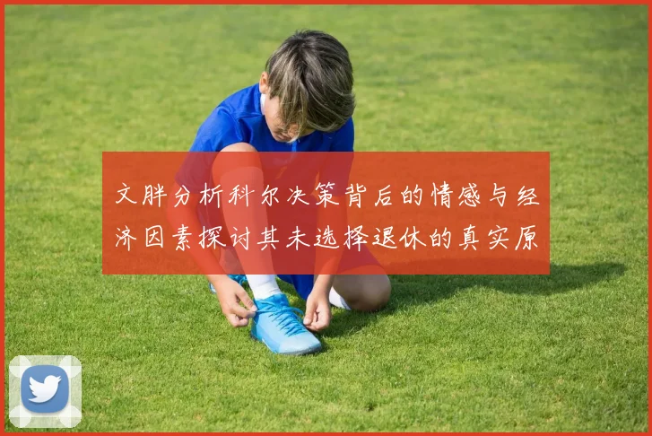 文胖分析科尔决策背后的情感与经济因素探讨其未选择退休的真实原因
