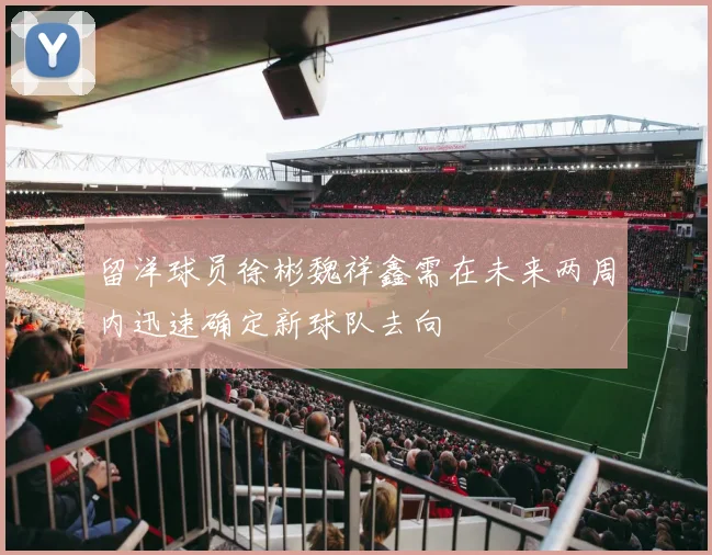 留洋球员徐彬魏祥鑫需在未来两周内迅速确定新球队去向
