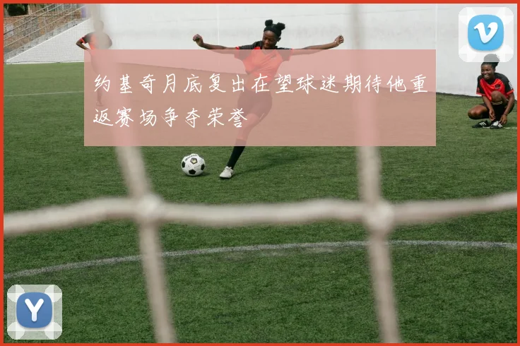 约基奇月底复出在望球迷期待他重返赛场争夺荣誉